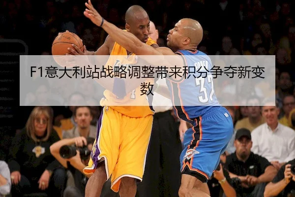 yi-da-li-zhan-zhan-lve-tiao-zheng-dai-lai-ji-fen-zheng-duo-xin-bian-shu-1-617.jpg