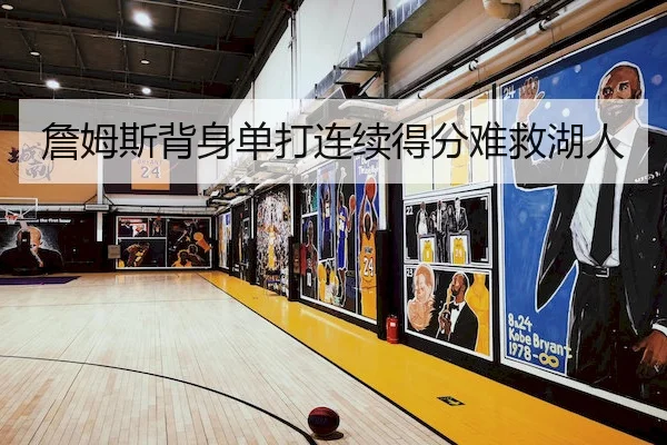 詹姆斯背身单打连续得分难救湖人 | BwinAsia